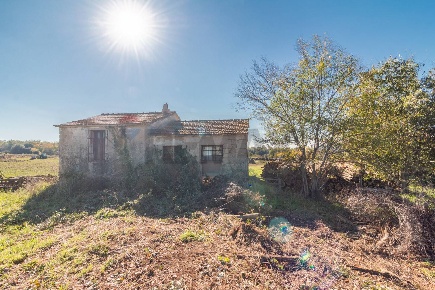 Foto Terreno agricolo a Ischia di Castro in vendita