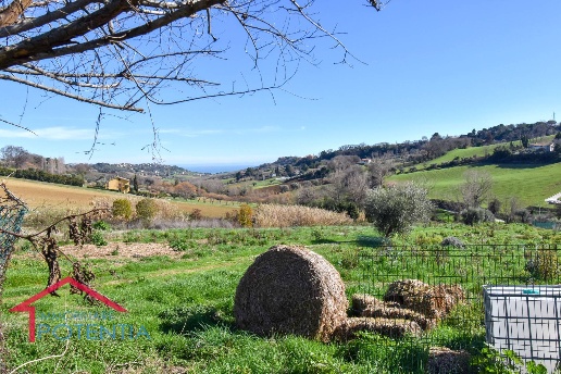 immagine annuncio 10 di 13