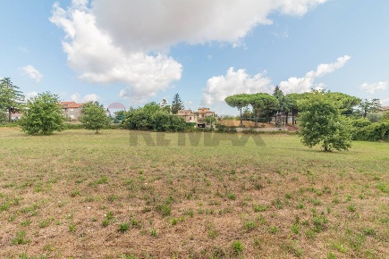 Foto Terreno residenziale in Località San Pietro snc, Ischia di Castro