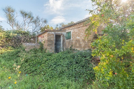 Foto Terreno agricolo in Località Macchia snc, Ischia di Castro di 5205 m²