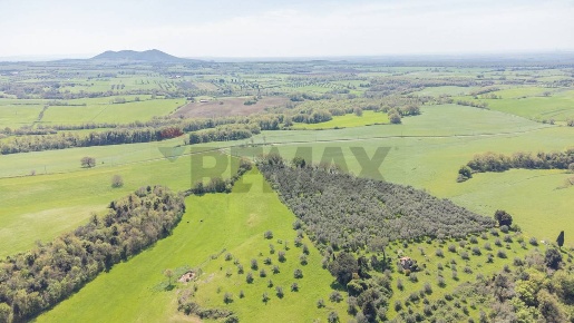 Foto Terreno agricolo a Ischia di Castro in vendita