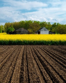 Foto Terreno agricolo in VIA DEL MAGLIO, Truccazzano di 3500 m² in vendita