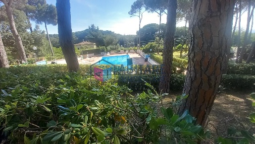 Foto Appartamento a Rosignano Marittimo Chioma, Nibbiaia di 50 m²