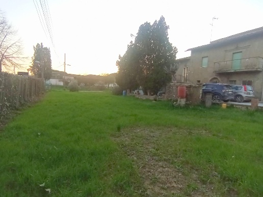 immagine annuncio 2 di 11