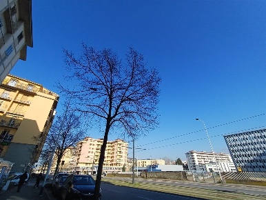 Foto Appartamento in via cecconi, Firenze Novoli di 50 m² con 2 locali