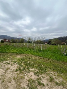 Foto Terreno agricolo a Luino Centro di 2800 m² in vendita