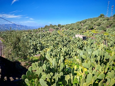 Foto Terreno agricolo a Santa Maria di Licodia di 20529 m² in vendita