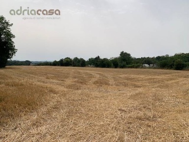 Foto Terreno agricolo in Via Ponte Conca, Misano Adriatico Belvedere