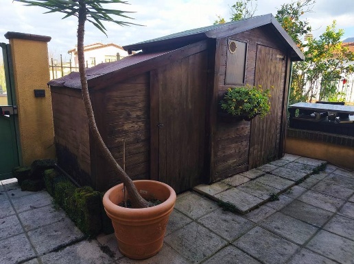 immagine annuncio 11 di 15