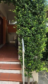 Foto Appartamento a Carrara Avenza con 5 locali in vendita