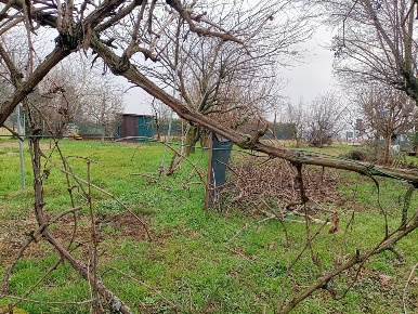Foto Terreno agricolo a Grezzago di 850 m² in vendita