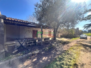 Foto Villa unifamiliare in Contrada bellona, Comiso Centro di 3167 m²