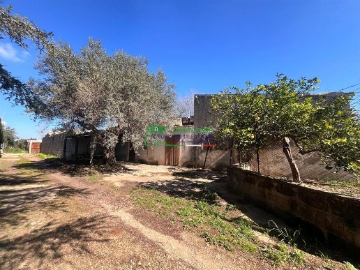 immagine annuncio 1 di 6