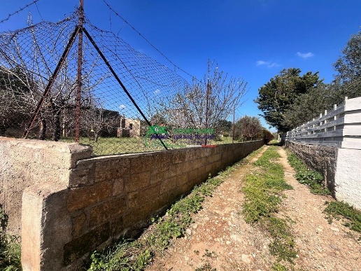 immagine annuncio 3 di 6