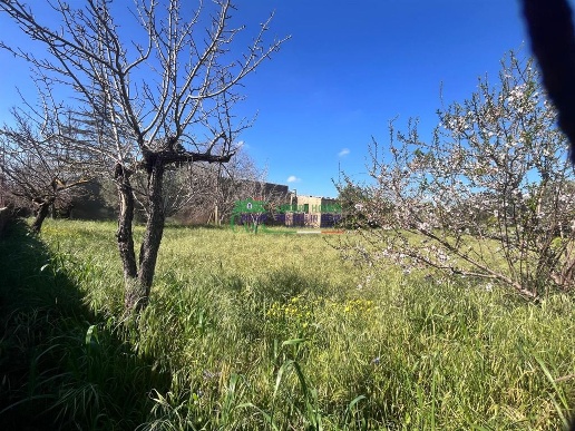 immagine annuncio 4 di 6