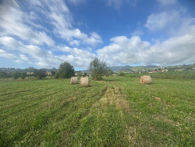Foto Terreno agricolo a Carmignano di 12000 m² in vendita