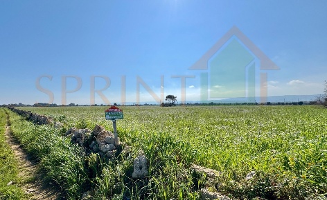 Foto Terreno agricolo in Contrada Losciale, Monopoli di 11110 m² in vendita