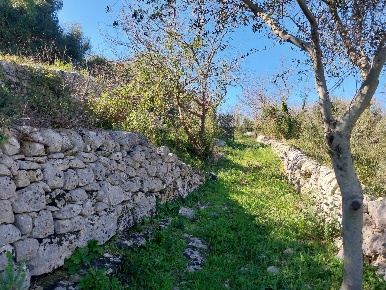 Foto Terreno agricolo in contrada Fasana, Modica Modica Alta di 40000 m²