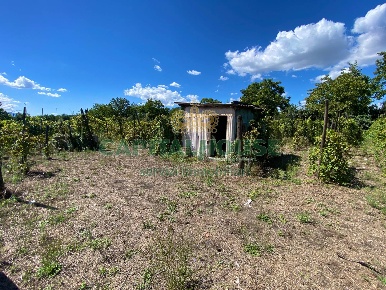 Foto Terreno agricolo a Palma Campania di 2800 m² in vendita