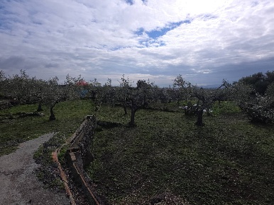 Foto Terreno agricolo in via Cristoforo Colombo 32, San Pietro Clarenza