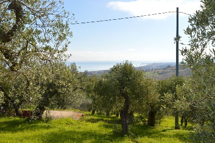 Foto Terreno agricolo in Via della Croce di Montevecchio 30, Vasto