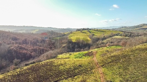 Foto Terreno agricolo in Poggio Murella snc, Manciano in vendita