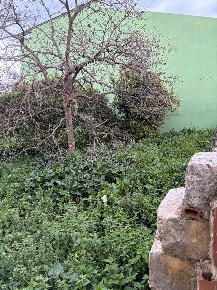 Foto Terreno residenziale in Via Dante, Cassaro di 170 m² in vendita