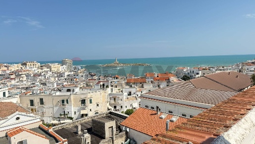 Foto Appartamento in Via Alfonso Perrone 9, Vieste Centro di 134 m²