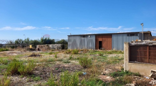 immagine annuncio 3 di 7