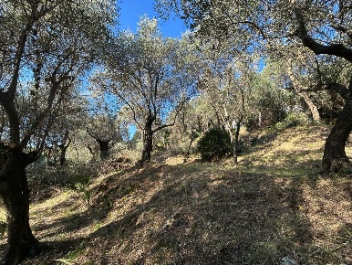 Foto Terreno agricolo in Via Giuseppe Garibaldi 51, Lerici di 1190 m²