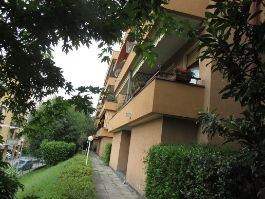 immagine annuncio 4 di 14