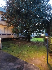 Foto Appartamento in Via Marcello Garosi, Massa Marina di Massa Centro