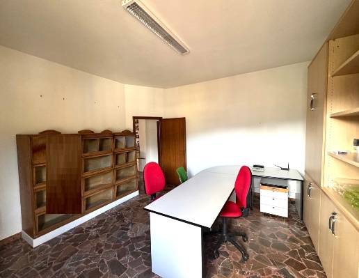 immagine annuncio 10 di 14