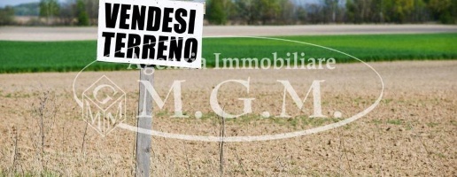 Foto Terreno agricolo a Santa Croce sull'Arno Centro di 2685 m² in vendita