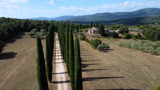 Foto Casale a Siena Piazza del Campo - Duprè di 750 m² con 12 locali