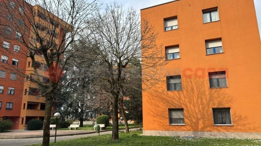 immagine annuncio 12 di 13