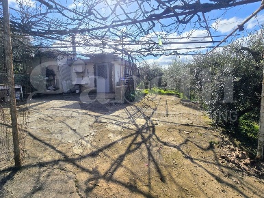 Foto Rustico in Via Fonte del Colle snc, Artena Centro di 42 m² in vendita