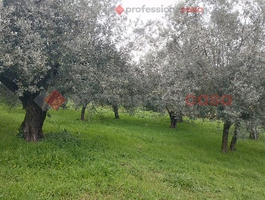 Foto Terreno residenziale in Via Madonna delle Grazie snc, Boville Ernica