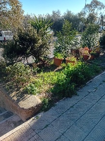 Foto Appartamento a Cinigiano di 80 m² con 3 locali in vendita