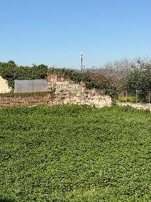 Foto Terreno agricolo in Vicolo Girone 5, Francolise di 1887 m² in vendita