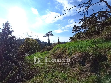 Foto Casa indipendente in via scarpone, Camaiore Camaiore Paese di 100 m²