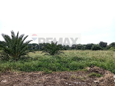 Foto Terreno agricolo in Via Isola, Siracusa Isola di 10000 m² in vendita