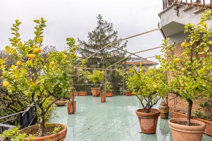 Foto Attico in Viale Cortina d'Ampezzo, Roma Cortina d'Ampezzo di 365 m²