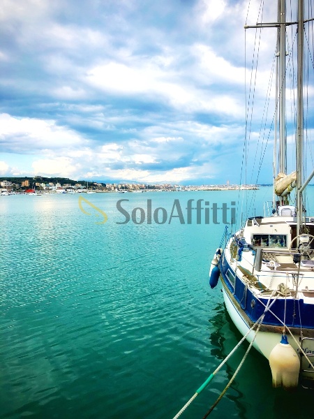 immagine annuncio 13 di 14