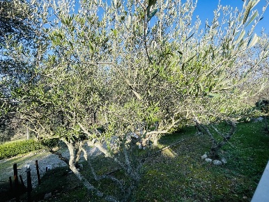 Foto Villa a schiera in Via Battinebbia, Jesi di 140 m² con 7 locali