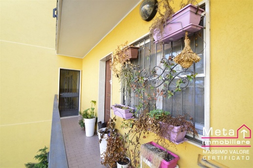 immagine annuncio 11 di 14