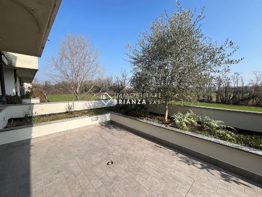 immagine annuncio 4 di 14