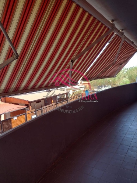 immagine annuncio 4 di 14