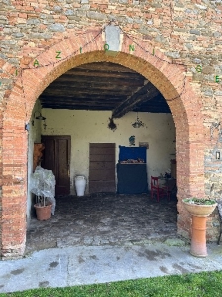 immagine annuncio 2 di 9