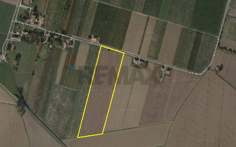 Foto Terreno agricolo in Via Alceste Ricciarelli, Ferrara Comacchio